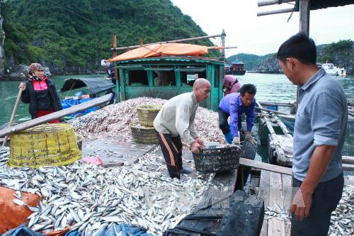  Nhiều cán bộ tắc trách trong xử lý ô nhiễm môi trường ảnh 1